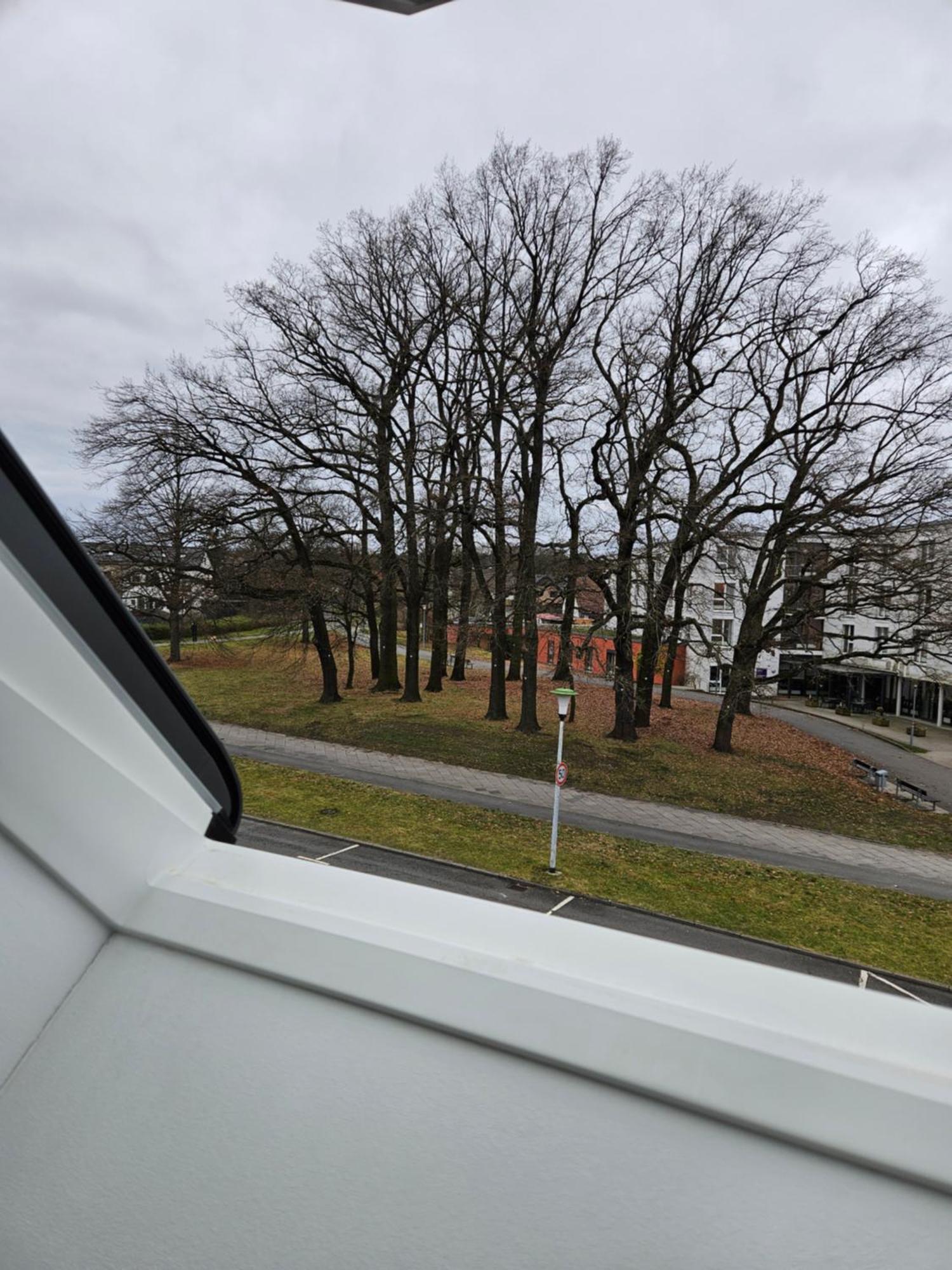 3 Zimmerwohnung Am Neuer Teich Wolfsburg Exteriör bild
